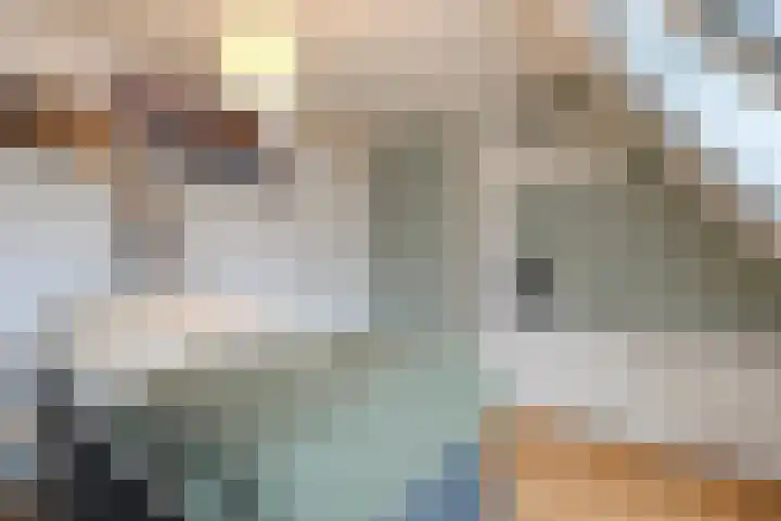 Scriveriusmate 34 Zwolle thumbnail 27