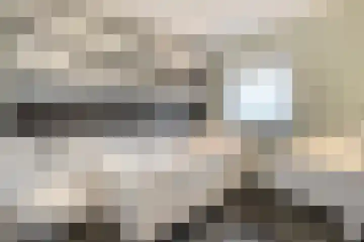 Scriveriusmate 34 Zwolle thumbnail 28
