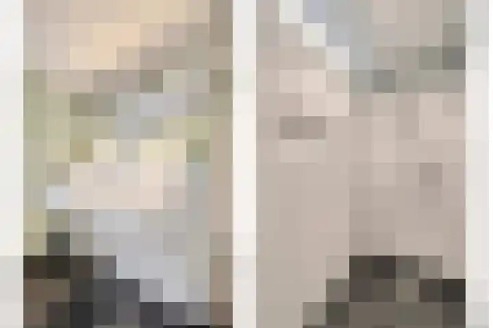 Scriveriusmate 34 Zwolle thumbnail 30
