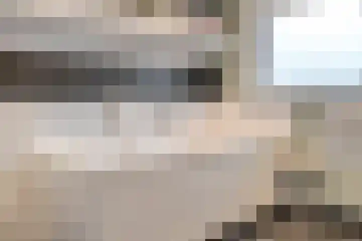 Scriveriusmate 34 Zwolle thumbnail 31