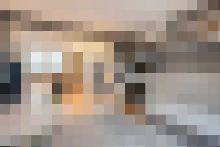 Scriveriusmate 34 Zwolle thumbnail 38