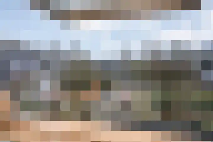 Scriveriusmate 34 Zwolle thumbnail 39