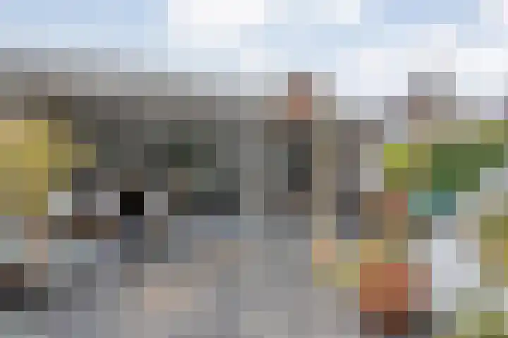 Scriveriusmate 34 Zwolle thumbnail 41