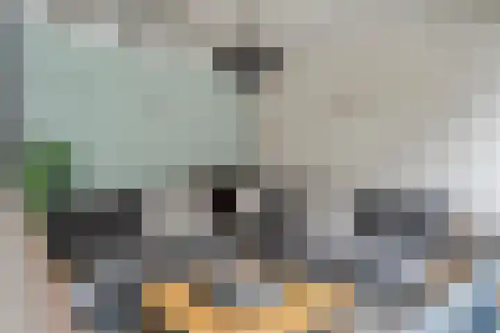 Scriveriusmate 34 Zwolle thumbnail 43