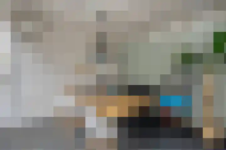 Scriveriusmate 34 Zwolle thumbnail 44
