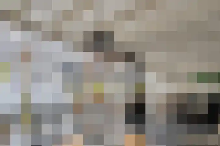 Scriveriusmate 34 Zwolle thumbnail 45