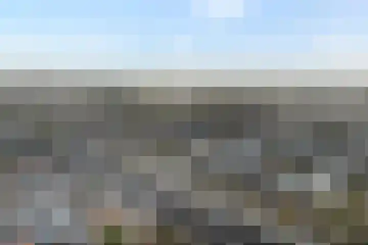 Scriveriusmate 34 Zwolle thumbnail 47