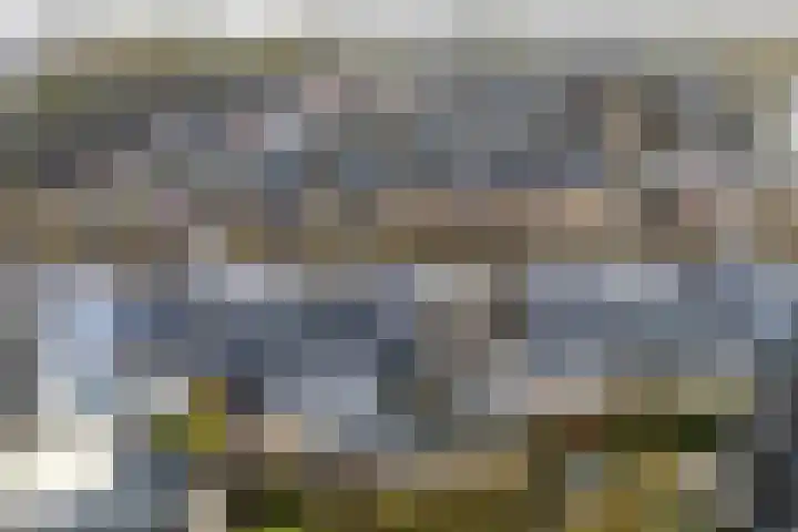 Scriveriusmate 34 Zwolle thumbnail 50
