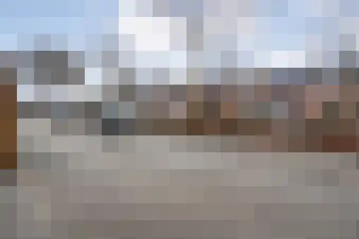 Scriveriusmate 34 Zwolle thumbnail 53