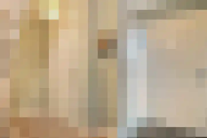 Scriveriusmate 34 Zwolle thumbnail 6