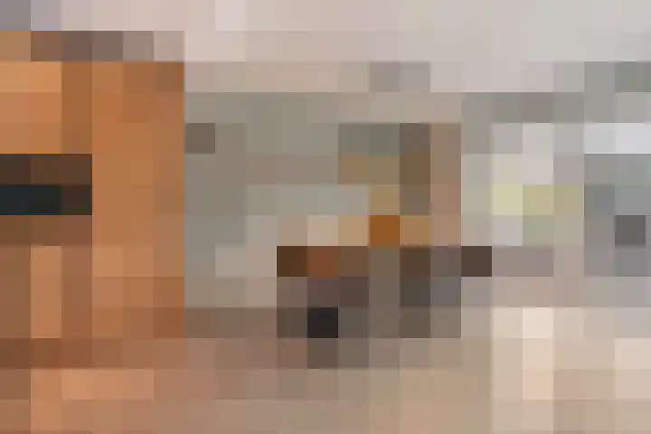 Scriveriusmate 34 Zwolle thumbnail 8