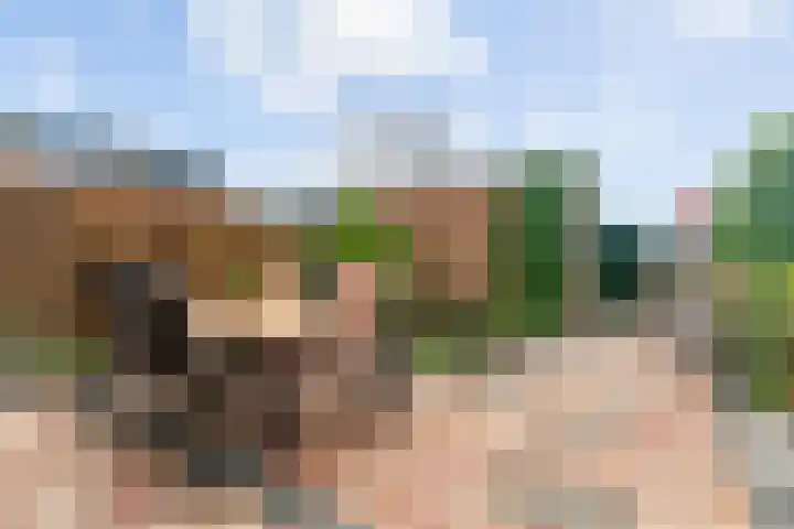 Secundusweg 48 De Meern thumbnail 27