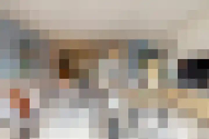 Secundusweg 48 De Meern thumbnail 7