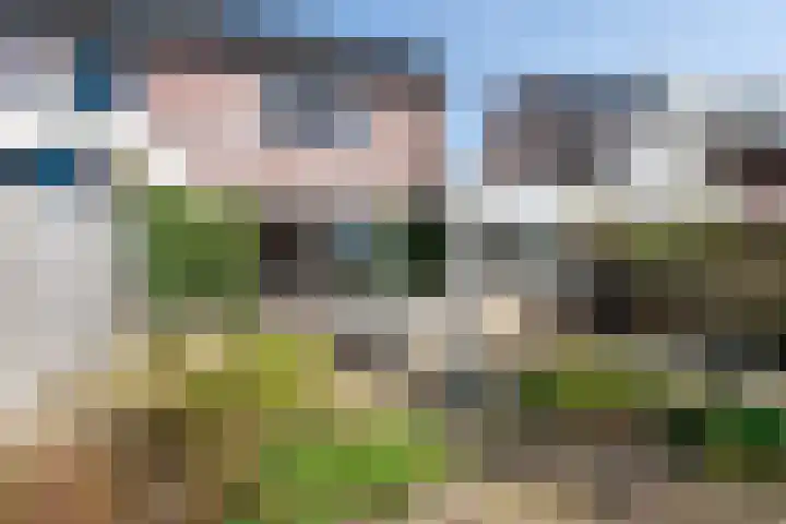 Seevank 194 Zwanenburg thumbnail 14