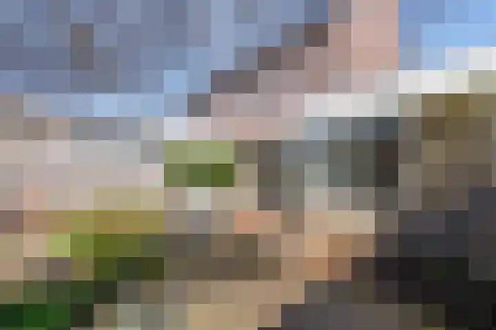 Seevank 194 Zwanenburg thumbnail 15