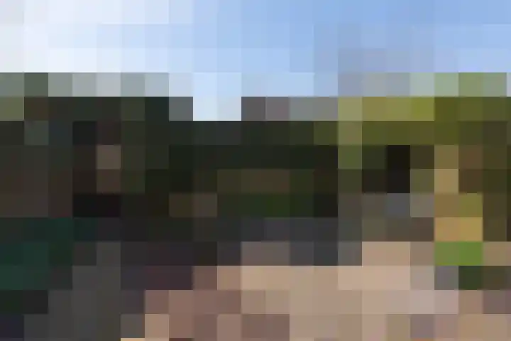 Seevank 194 Zwanenburg thumbnail 16