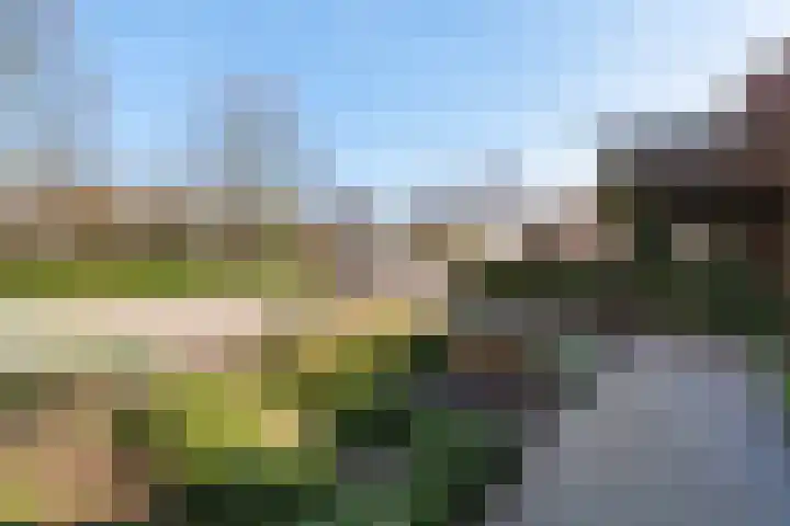 Seevank 194 Zwanenburg thumbnail 17