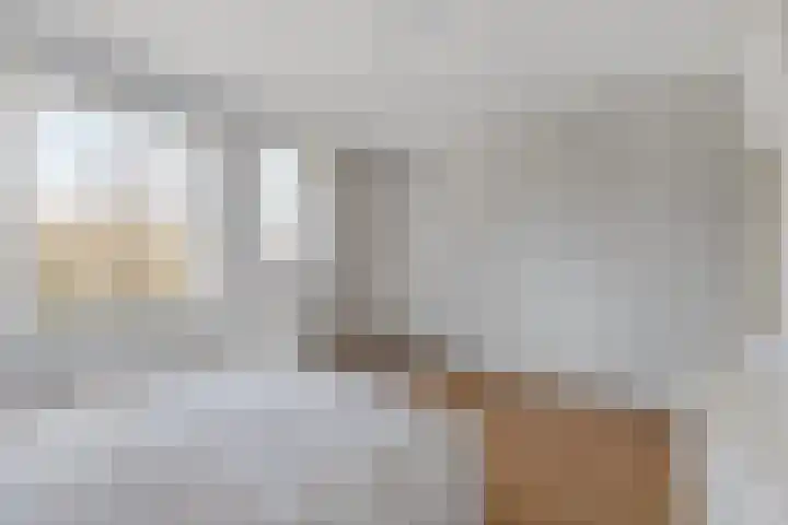 Seevank 194 Zwanenburg thumbnail 19