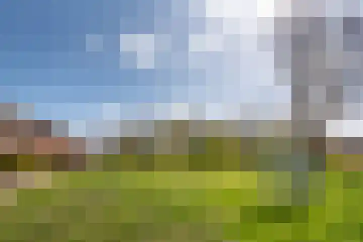 Seevank 194 Zwanenburg thumbnail 27