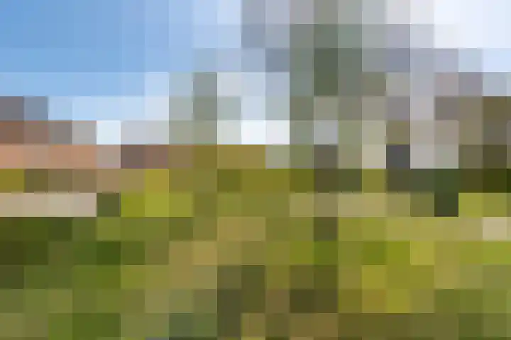 Seevank 194 Zwanenburg thumbnail 28