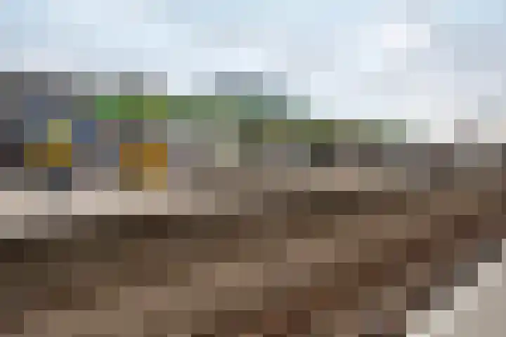 Seevank 194 Zwanenburg thumbnail 29