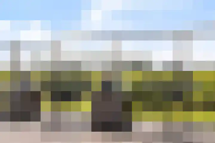 Seine 2 58 Terherne thumbnail 14