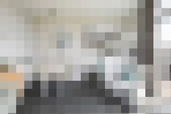 Seine 2 58 Terherne thumbnail 20