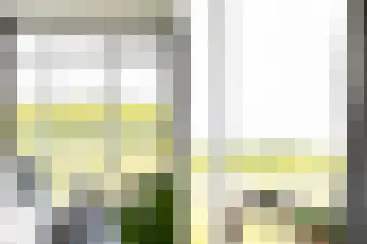 Seine 2 58 Terherne thumbnail 25