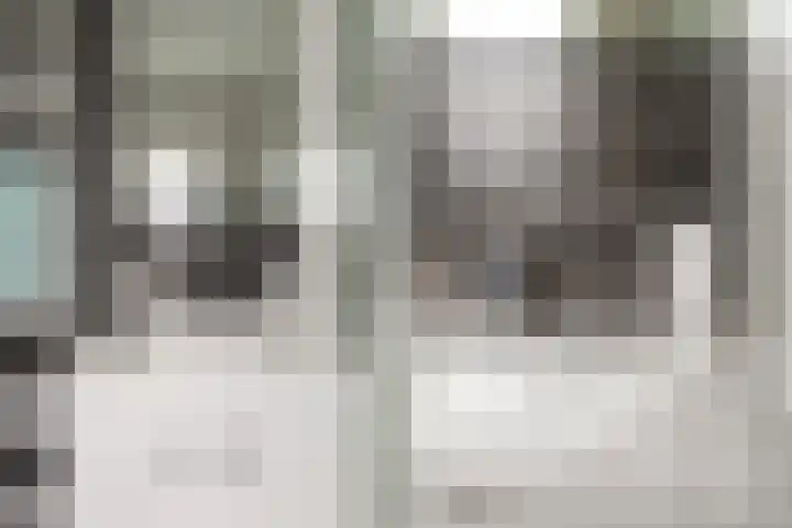 Seine 2 58 Terherne thumbnail 33
