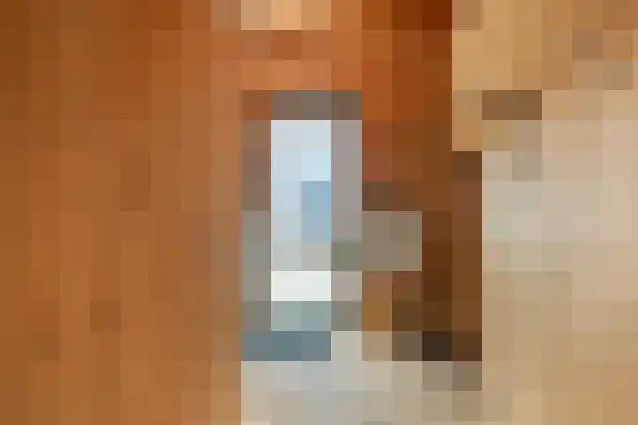 Seine 2 58 Terherne thumbnail 40