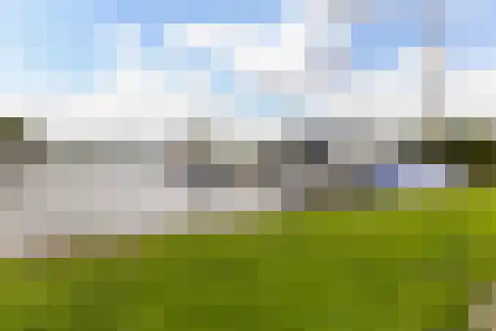 Seine 2 58 Terherne thumbnail 45