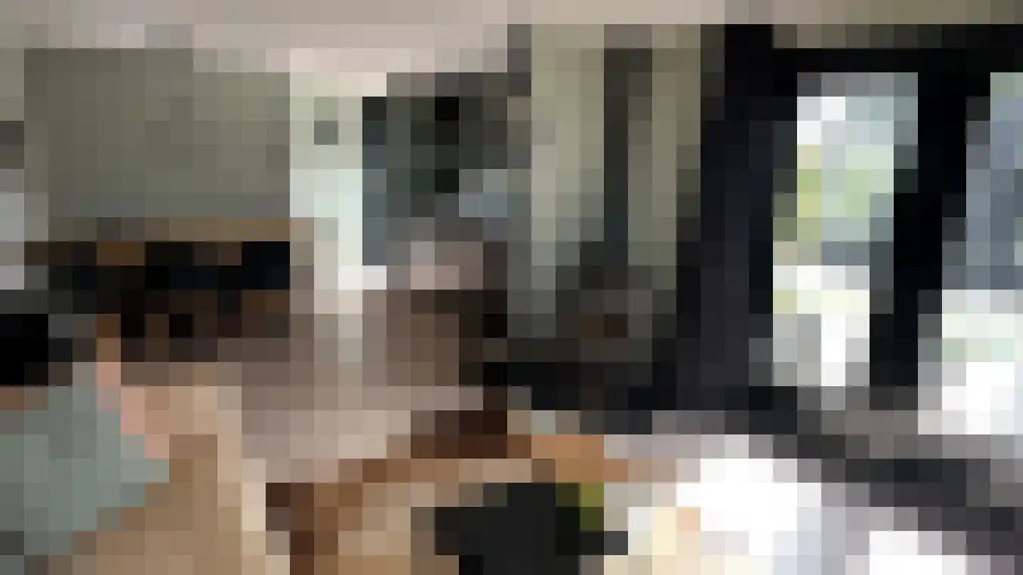 Seine 2 74 Terherne thumbnail 6