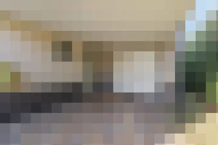 Seine 6 Doetinchem thumbnail 14