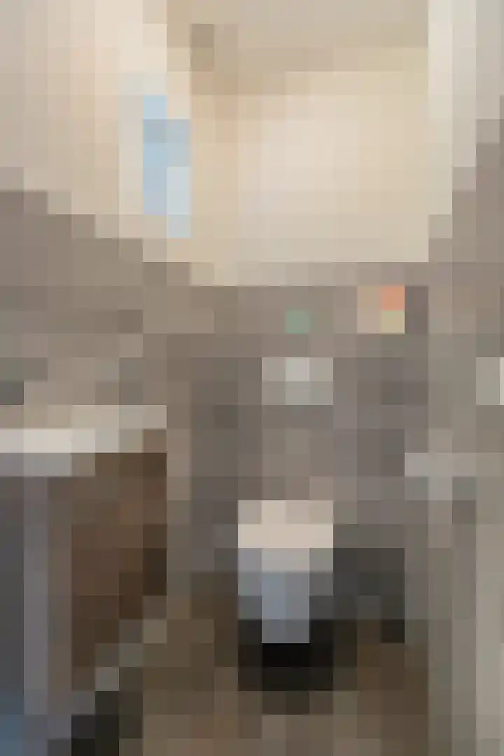 Seine 6 Doetinchem thumbnail 18