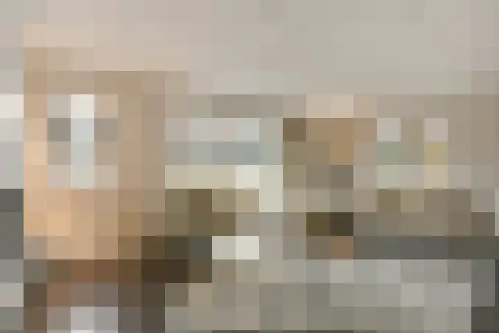 Seine 6 Doetinchem thumbnail 20