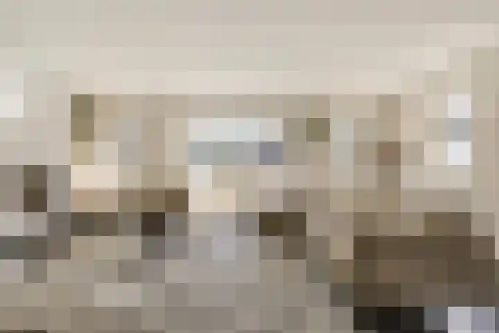 Seine 6 Doetinchem thumbnail 21