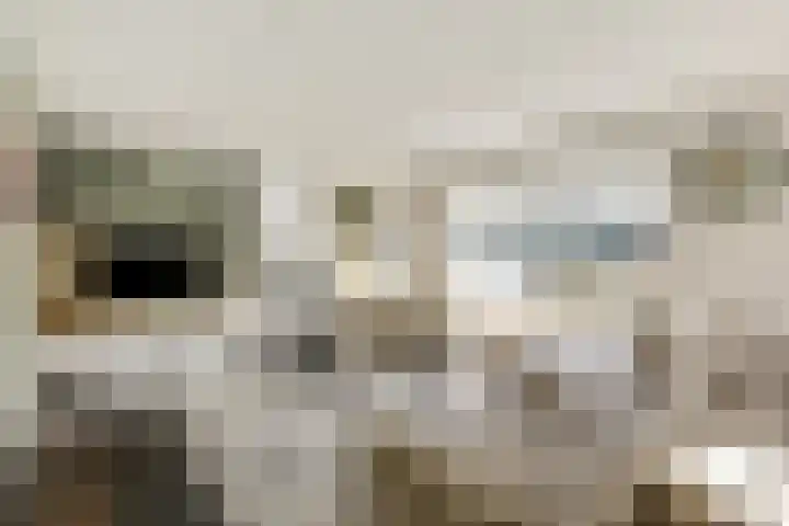 Seine 6 Doetinchem thumbnail 22