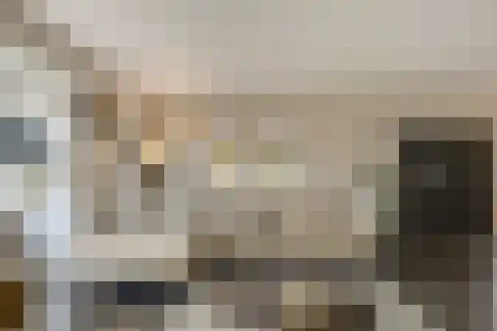 Seine 6 Doetinchem thumbnail 24