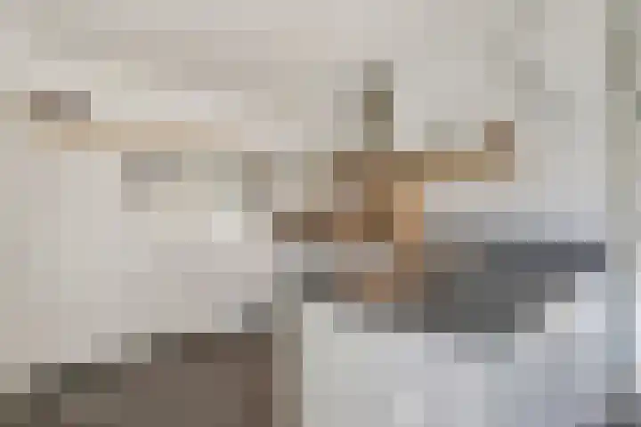 Seine 6 Doetinchem thumbnail 33