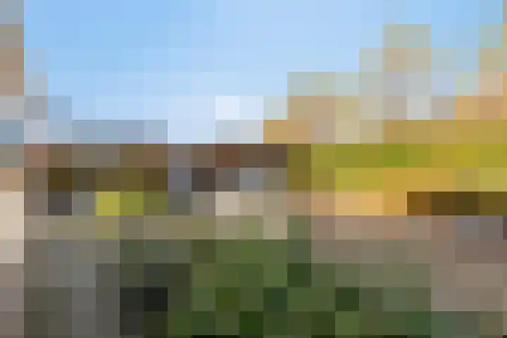 Seine 6 Doetinchem thumbnail 37