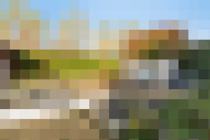 Seine 6 Doetinchem thumbnail 38