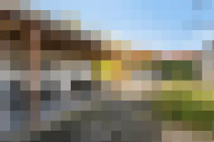 Seine 6 Doetinchem thumbnail 43