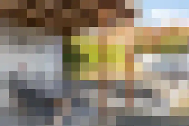 Seine 6 Doetinchem thumbnail 44