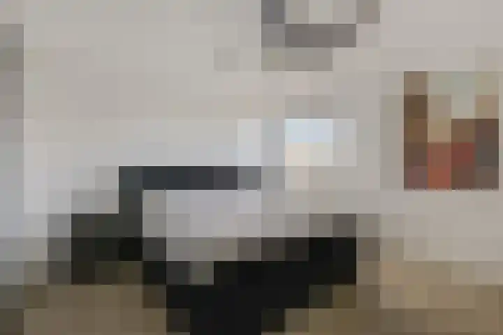 Seine 6 Doetinchem thumbnail 53