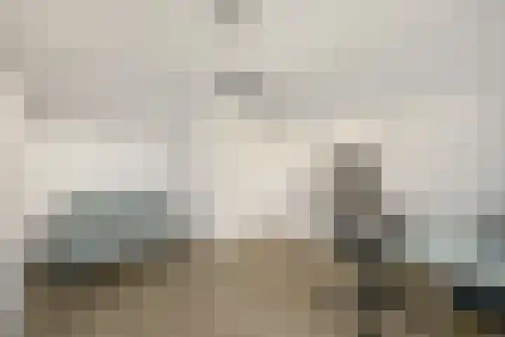 Seine 6 Doetinchem thumbnail 56