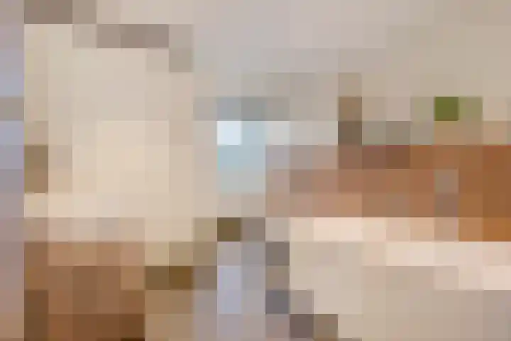 Seine 6 Doetinchem thumbnail 58