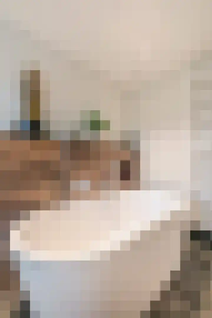 Seine 6 Doetinchem thumbnail 60