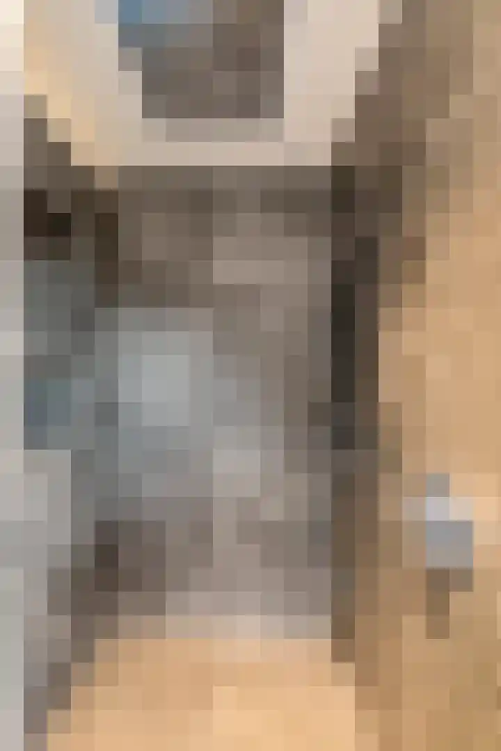 Seine 6 Doetinchem thumbnail 61