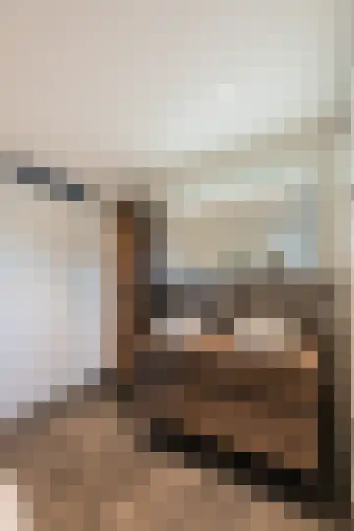 Seine 6 Doetinchem thumbnail 62