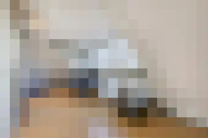 Seine 6 Doetinchem thumbnail 69